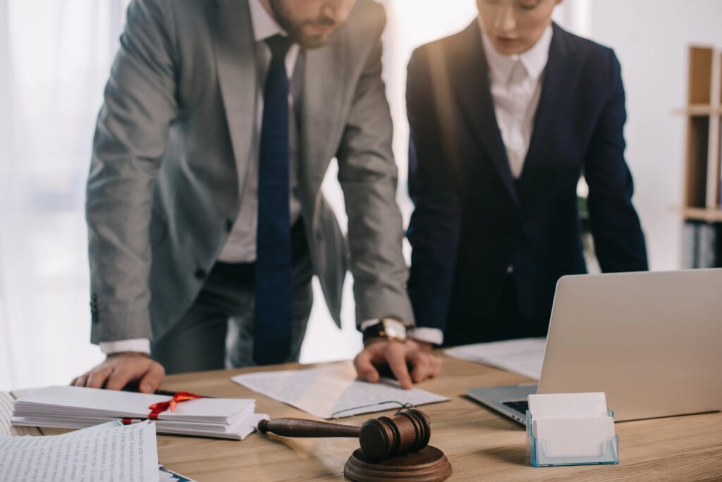 business litigation lawyer